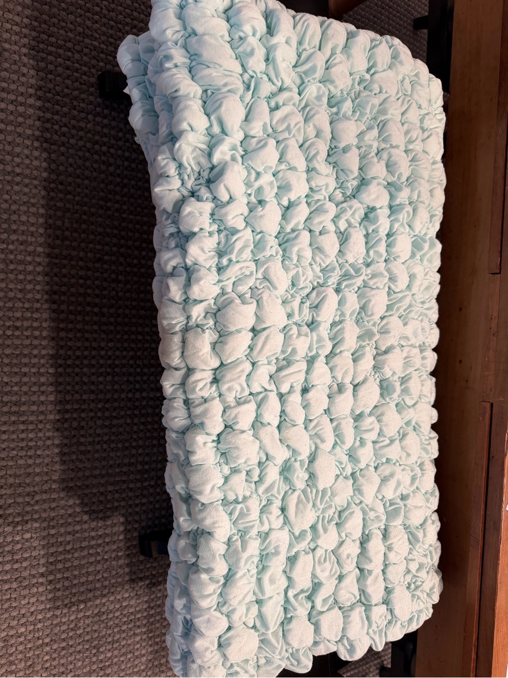 Pottery Barn Teen Ruffled Throw Blanket - Light Mint